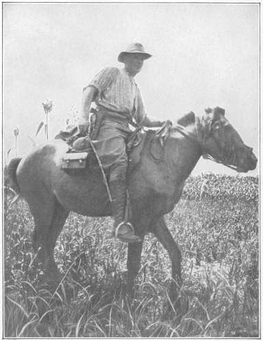 At the front in Manchuria