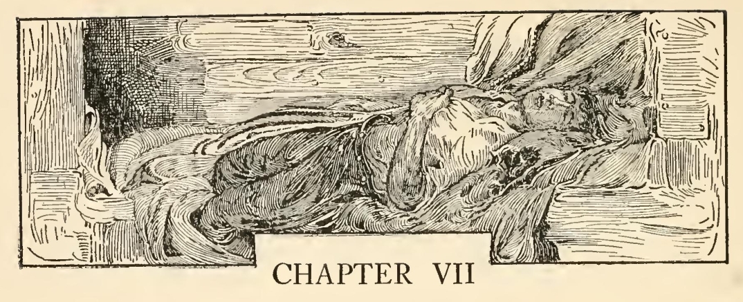 Chapter VII