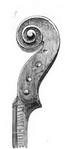 GUARNERI scroll