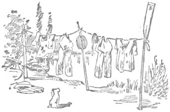 Washing line