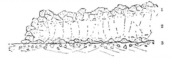 Fig. 40.

Section of a lava-flow. (J. Geikie.)

1, Slaggy crust, formed chiefly of scori of a glassy nature. 2, Middle
portion where crystals form. 3, Slaggy crust which has slipped down and
been covered by the flow.