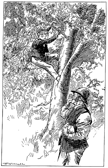 boy in tree, man on ground