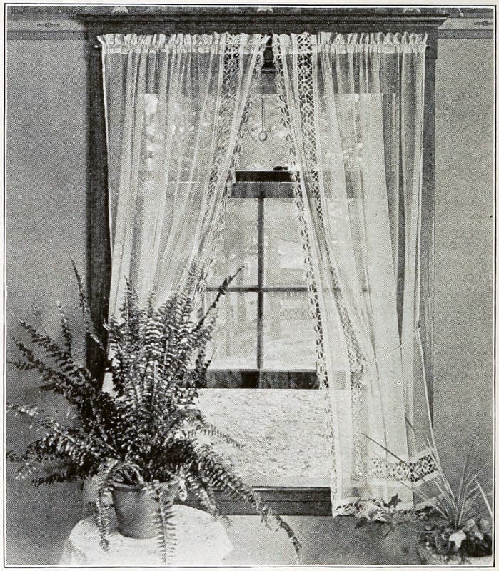 A plant by an ajar
window with open curtains